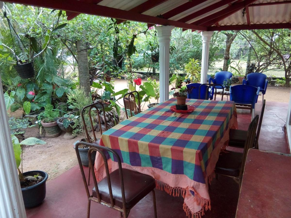 Lake House Homestay アヌラーダプラ エクステリア 写真